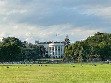 White House & Lafayette Square Tour